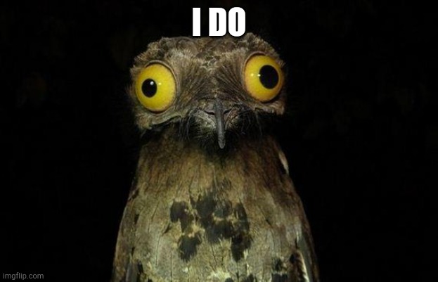 Weird Stuff I Do Potoo Meme | I DO | image tagged in memes,weird stuff i do potoo | made w/ Imgflip meme maker