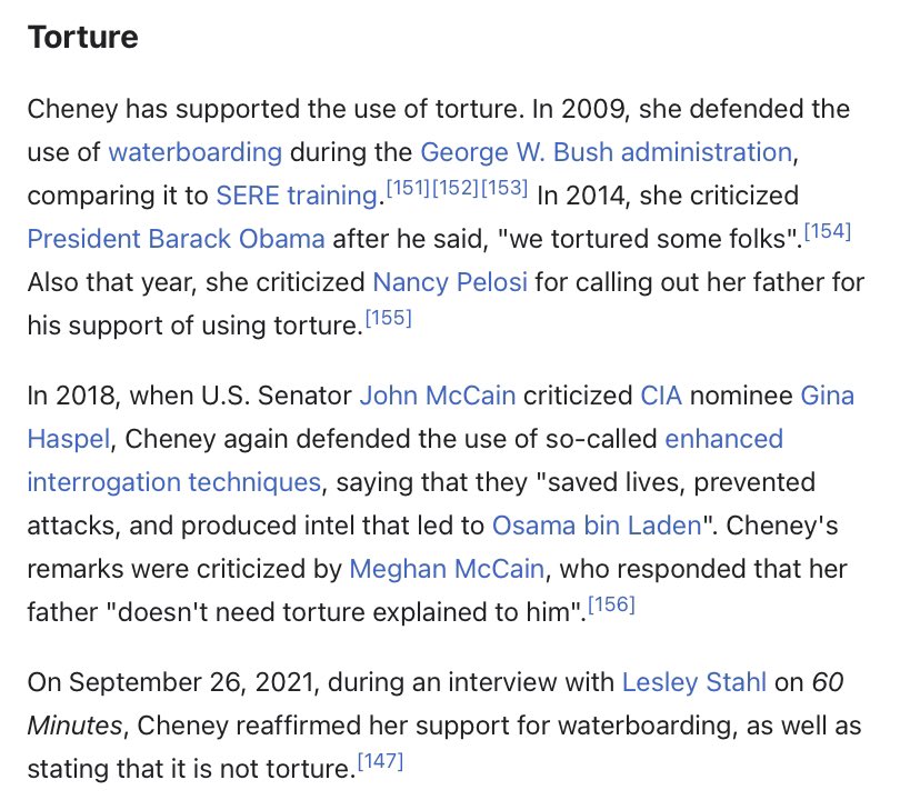 Liz Cheney supports torture Blank Meme Template
