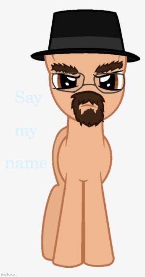 walter white | image tagged in memes,breaking bad,my little pony | made w/ Imgflip meme maker