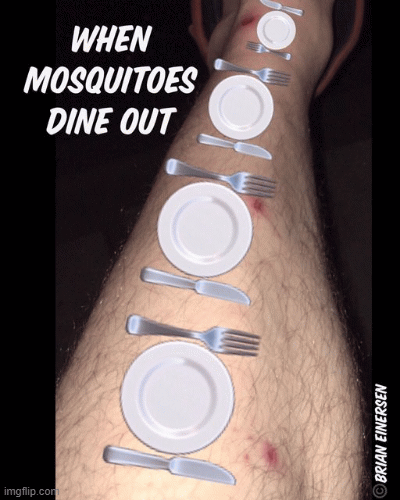 Fine Dining | image tagged in gifs,fashion kartoon,mosquitoes,gay,emooji art,brian einersen | made w/ Imgflip images-to-gif maker