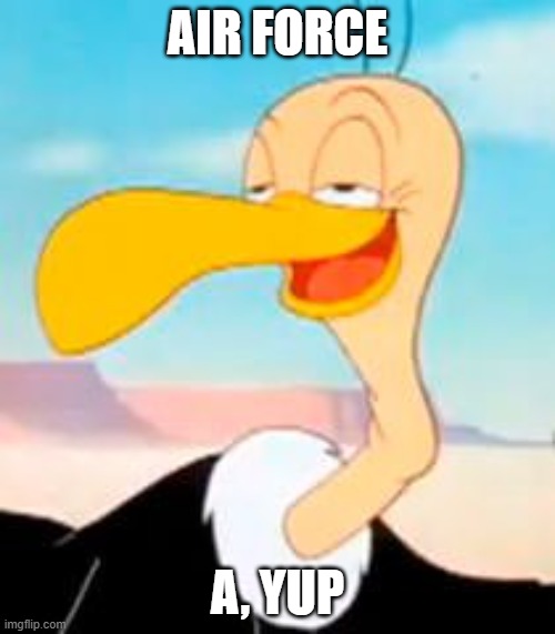 beaky buzzard | AIR FORCE; A, YUP | image tagged in beaky buzzard | made w/ Imgflip meme maker