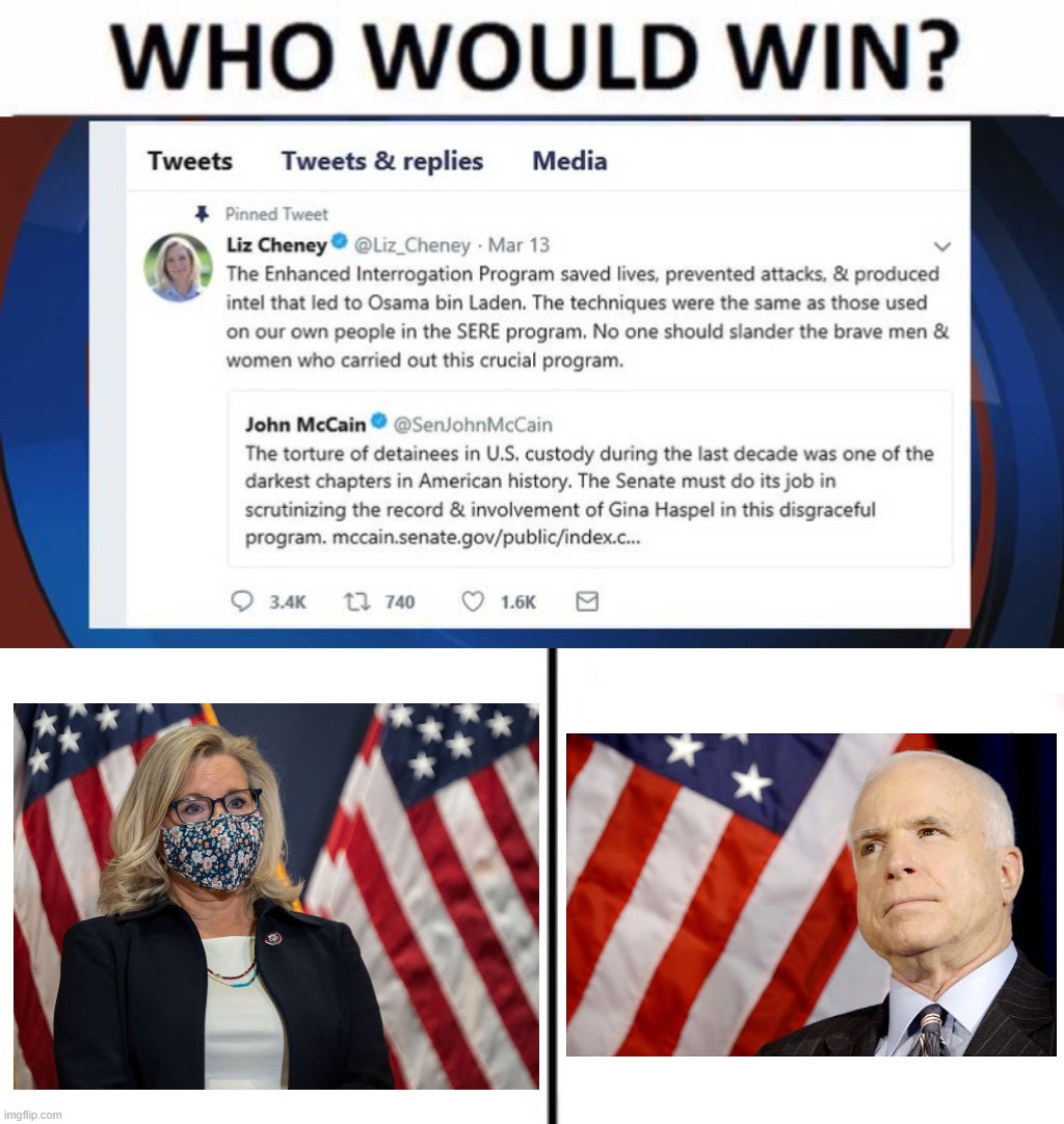 Two complete irrelevancies in today's GOP sharply debate one of the hottest political topics of over 15 years ago | image tagged in memes,who would win,cheney vs mccain torture,republicans,gop,torture | made w/ Imgflip meme maker