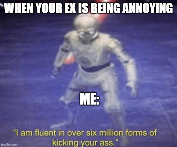 exes are so mean | WHEN YOUR EX IS BEING ANNOYING; ME: | image tagged in i am fluent in over six million forms of kicking your ass | made w/ Imgflip meme maker