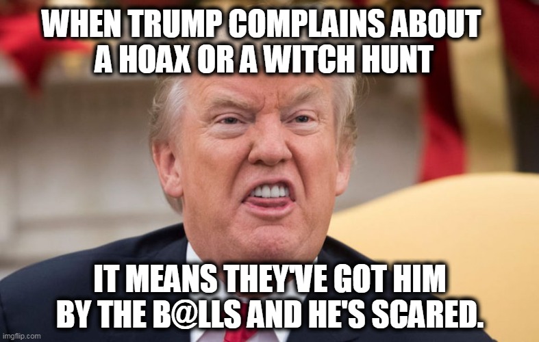 What English really means | WHEN TRUMP COMPLAINS ABOUT 
A HOAX OR A WITCH HUNT; IT MEANS THEY'VE GOT HIM BY THE B@LLS AND HE'S SCARED. | image tagged in trump,hoax,witch hunt,scream,fear,scared | made w/ Imgflip meme maker