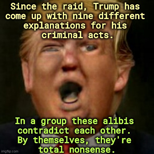 Since the raid, Trump has 
come up with nine different 

explanations for his 
criminal acts. In a group these alibis 
contradict each other. 
By themselves, they're 
total nonsense. | image tagged in trump,raid,alibi,explain,nonsense | made w/ Imgflip meme maker