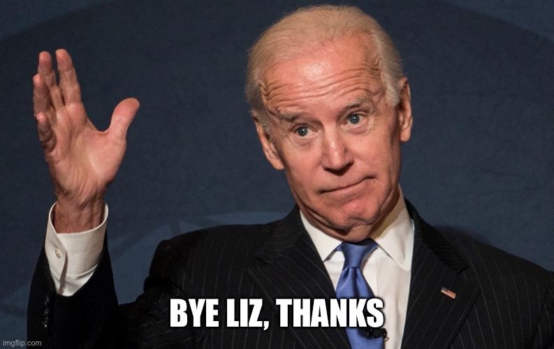 Buh Bye Old Creepy Joe Biden | BYE LIZ, THANKS | image tagged in buh bye old creepy joe biden | made w/ Imgflip meme maker