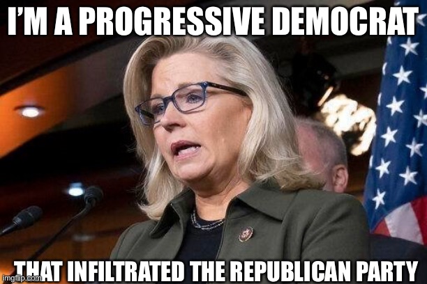 Mainstream media is celebrating her | I’M A PROGRESSIVE DEMOCRAT; THAT INFILTRATED THE REPUBLICAN PARTY | image tagged in liz cheney | made w/ Imgflip meme maker