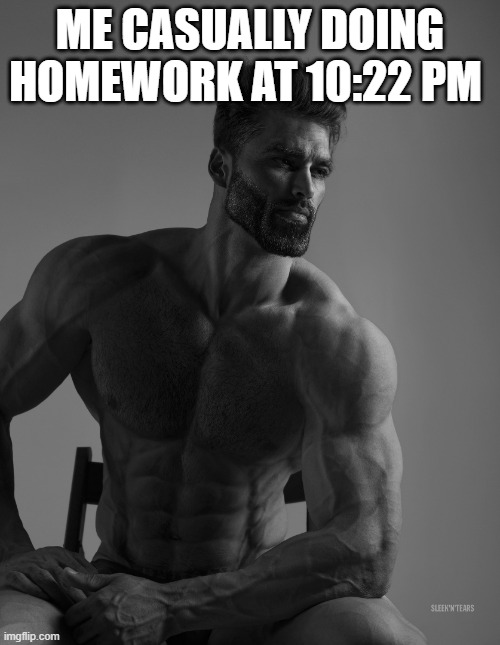 I actually like the class I'm doing it for so it isn't a big deal | ME CASUALLY DOING HOMEWORK AT 10:22 PM | image tagged in giga chad | made w/ Imgflip meme maker