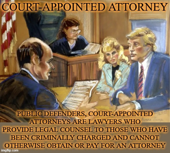 Court-Appointed Attorney | COURT-APPOINTED ATTORNEY; PUBLIC DEFENDERS, COURT-APPOINTED ATTORNEYS ARE LAWYERS WHO PROVIDE LEGAL COUNSEL TO THOSE WHO HAVE BEEN CRIMINALLY CHARGED AND CANNOT OTHERWISE OBTAIN OR PAY FOR AN ATTORNEY | image tagged in court-appointed attorney,public defender,lawyer,legal counsel,attorney,criminal | made w/ Imgflip meme maker