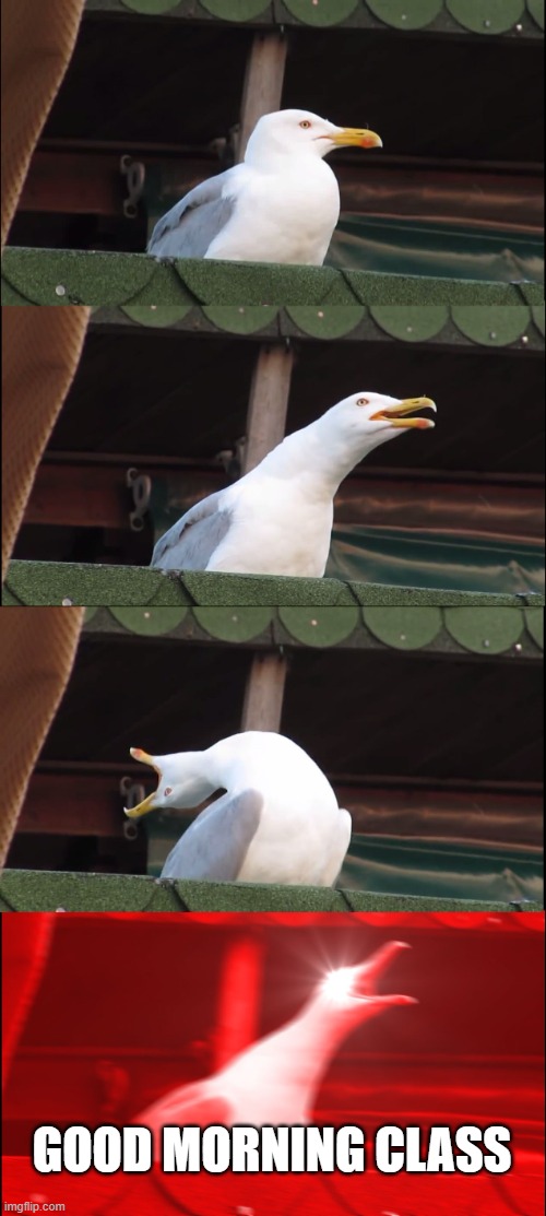 teachers be like that every morning | GOOD MORNING CLASS | image tagged in memes,inhaling seagull | made w/ Imgflip meme maker