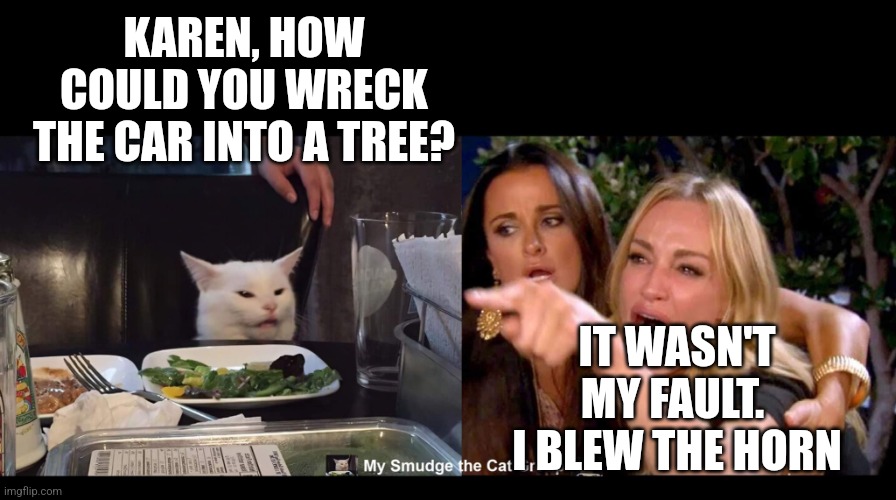 KAREN, HOW COULD YOU WRECK THE CAR INTO A TREE? IT WASN'T MY FAULT.  I BLEW THE HORN | image tagged in smudge the cat | made w/ Imgflip meme maker