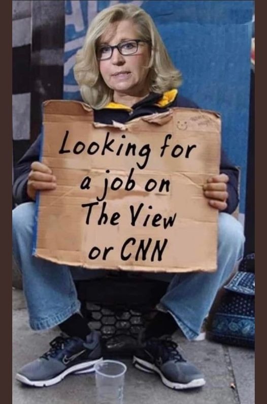 Liz the Loser begging for a job. | image tagged in lizzard lips,liz cheney,sore loser,biggest loser,triggered rino,republican in name only | made w/ Imgflip meme maker