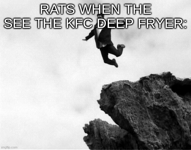 Man Jumping Off a Cliff | RATS WHEN THE SEE THE KFC DEEP FRYER: | image tagged in man jumping off a cliff | made w/ Imgflip meme maker