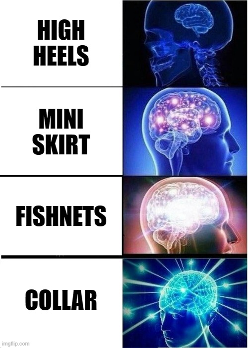 Expanding Brain Meme | HIGH HEELS; MINI SKIRT; FISHNETS; COLLAR | image tagged in memes,expanding brain | made w/ Imgflip meme maker