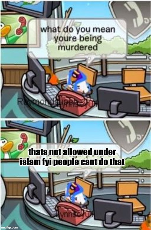 6qbask.jpg