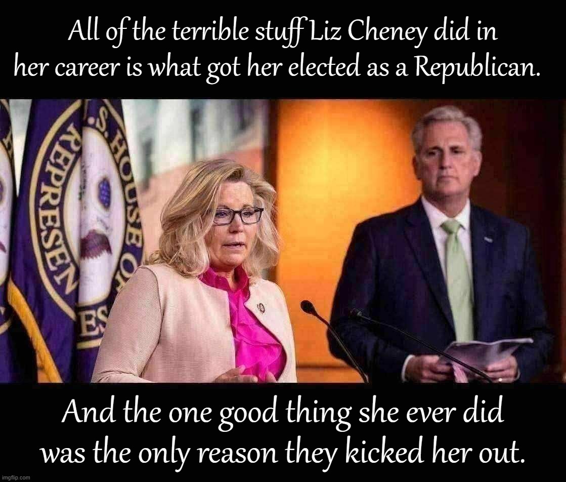 Pro-torture, pro-war, pro-environmental destruction, pro-labeling-everyone-who-disagrees-a-traitor? In. Pro-democracy? Out. | All of the terrible stuff Liz Cheney did in her career is what got her elected as a Republican. And the one good thing she ever did was the only reason they kicked her out. | image tagged in liz cheney kevin mccarthy | made w/ Imgflip meme maker