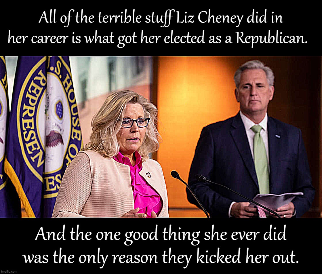 Pro-torture, pro-war, pro-environmental destruction, pro-labeling-everyone-who-disagrees-a-traitor? In. Pro-democracy? Out. | All of the terrible stuff Liz Cheney did in her career is what got her elected as a Republican. And the one good thing she ever did was the only reason they kicked her out. | image tagged in liz cheney kevin mccarthy | made w/ Imgflip meme maker