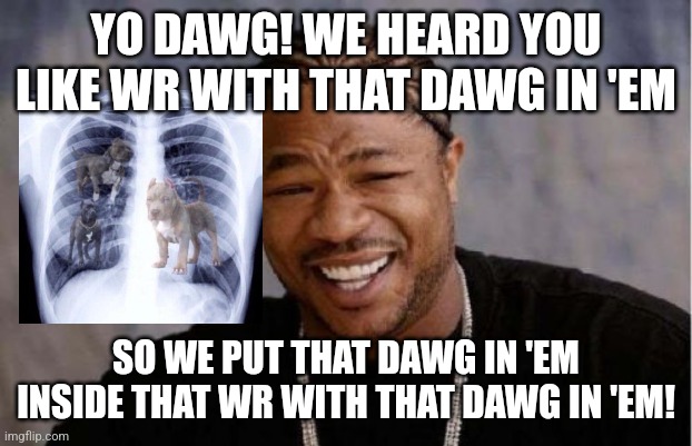 Yo Dawg Heard You Meme | YO DAWG! WE HEARD YOU LIKE WR WITH THAT DAWG IN 'EM; SO WE PUT THAT DAWG IN 'EM INSIDE THAT WR WITH THAT DAWG IN 'EM! | image tagged in memes,yo dawg heard you | made w/ Imgflip meme maker