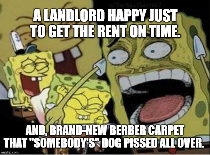 Sponge Bob laughing | A LANDLORD HAPPY JUST TO GET THE RENT ON TIME. AND, BRAND-NEW BERBER CARPET THAT "SOMEBODY'S" DOG PISSED ALL OVER. | image tagged in sponge bob laughing | made w/ Imgflip meme maker