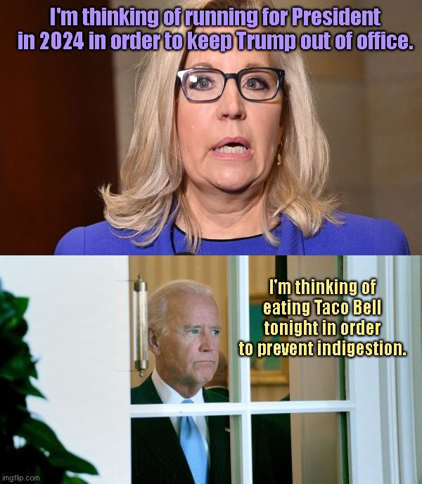 Political Pipe Dreams | I'm thinking of running for President in 2024 in order to keep Trump out of office. I'm thinking of eating Taco Bell tonight in order to prevent indigestion. | image tagged in biden window,liz cheney,tds,pipe dream,joe biden worries,political humor | made w/ Imgflip meme maker