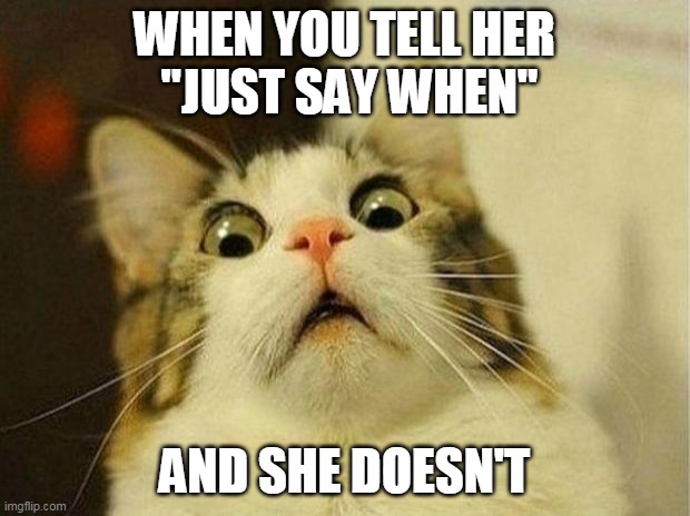 Scared Cat Meme | WHEN YOU TELL HER
 "JUST SAY WHEN"; AND SHE DOESN'T | image tagged in memes,scared cat | made w/ Imgflip meme maker