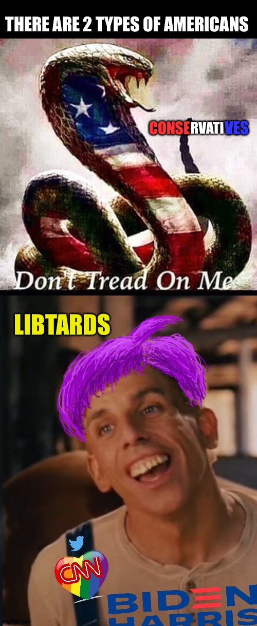 THERE ARE 2 TYPES OF AMERICANS; RVATI; CONSE; VES; LIBTARDS | image tagged in cobra snake patriotic,libtard jack new and improved | made w/ Imgflip meme maker