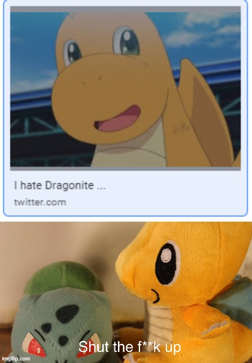 the reason is that its cute and powerful at the same time, shit dont make sense | image tagged in dragonite shut up | made w/ Imgflip meme maker