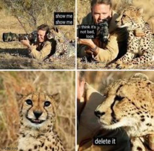 image tagged in memes | made w/ Imgflip meme maker