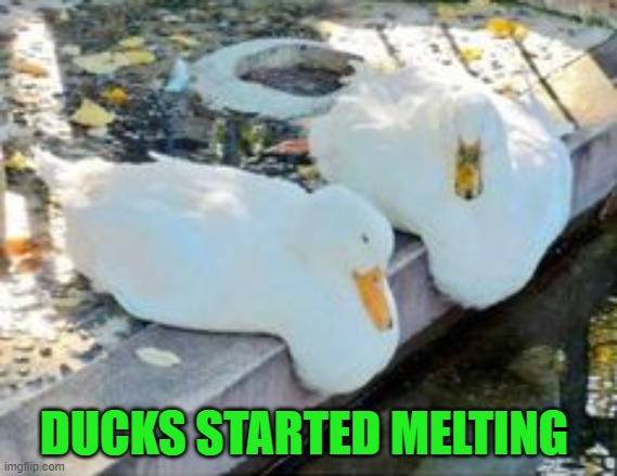 DUCKS STARTED MELTING | image tagged in cursed image | made w/ Imgflip meme maker