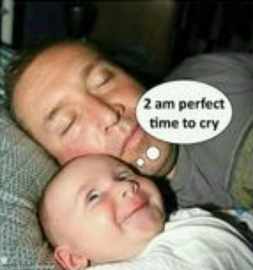 image tagged in memes | made w/ Imgflip meme maker