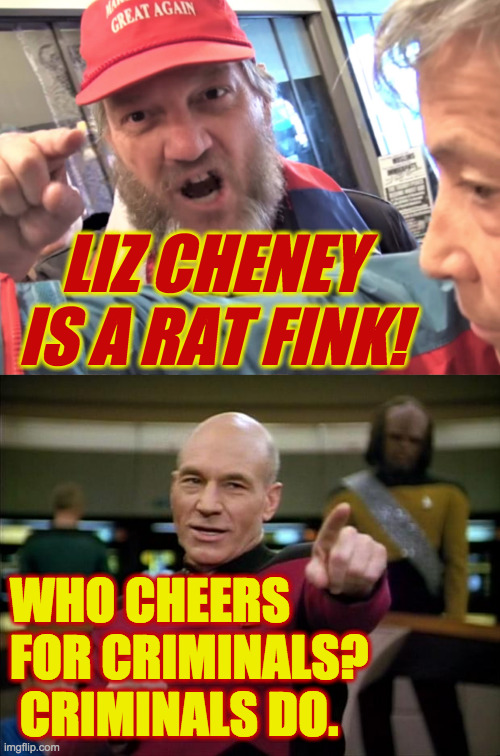 Most people won't vote for criminals.  You should think about that. | LIZ CHENEY IS A RAT FINK! WHO CHEERS FOR CRIMINALS?  CRIMINALS DO. | image tagged in angry trump supporter,picard,criminals | made w/ Imgflip meme maker