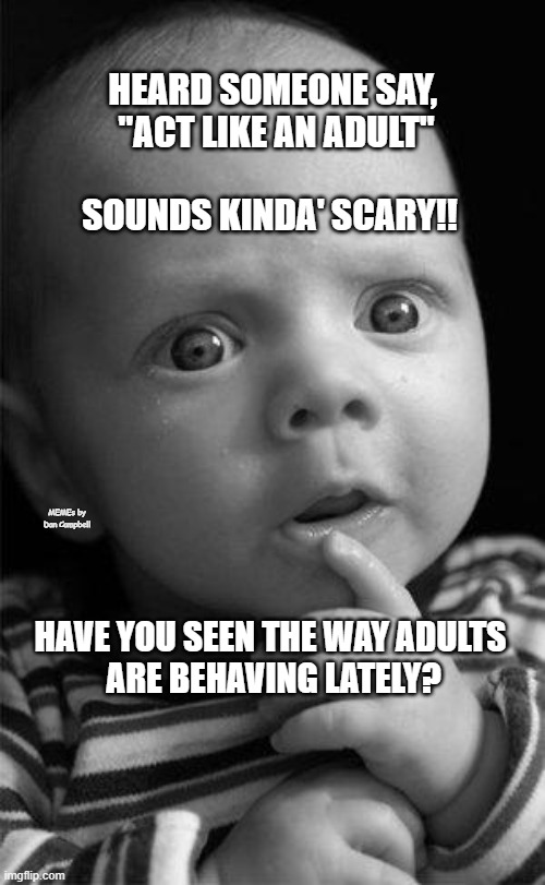 puzzled | HEARD SOMEONE SAY, 
"ACT LIKE AN ADULT"; SOUNDS KINDA' SCARY!! MEMEs by Dan Campbell; HAVE YOU SEEN THE WAY ADULTS 
ARE BEHAVING LATELY? | image tagged in puzzled | made w/ Imgflip meme maker