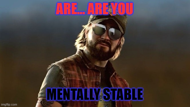 nick rye are you mentally stable | ARE... ARE YOU MENTALLY STABLE | image tagged in nick rye are you mentally stable | made w/ Imgflip meme maker