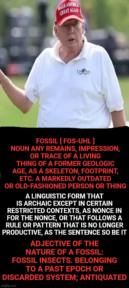 Trump Defined | FOSSIL [ FOS-UHL ] NOUN ANY REMAINS, IMPRESSION, OR TRACE OF A LIVING THING OF A FORMER GEOLOGIC AGE, AS A SKELETON, FOOTPRINT, ETC. A MARKEDLY OUTDATED OR OLD-FASHIONED PERSON OR THING; A LINGUISTIC FORM THAT IS ARCHAIC EXCEPT IN CERTAIN RESTRICTED CONTEXTS, AS NONCE IN FOR THE NONCE, OR THAT FOLLOWS A RULE OR PATTERN THAT IS NO LONGER PRODUCTIVE, AS THE SENTENCE SO BE IT; ADJECTIVE OF THE NATURE OF A FOSSIL: FOSSIL INSECTS. BELONGING TO A PAST EPOCH OR DISCARDED SYSTEM; ANTIQUATED | image tagged in memes,trump,crypt keeper,methuselah,ancient,trumpublican christian nationalist nazi | made w/ Imgflip meme maker