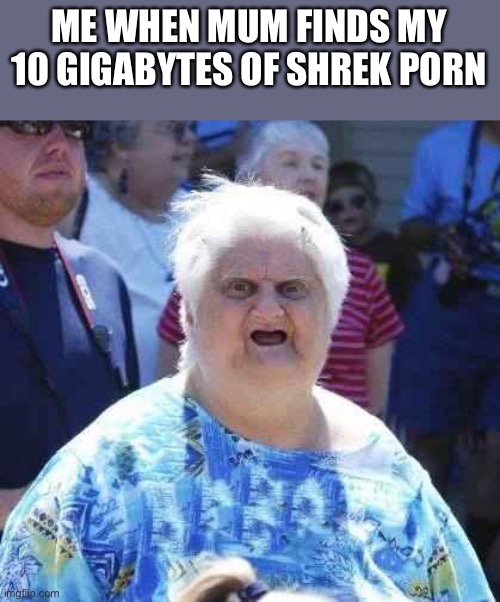 wut | ME WHEN MUM FINDS MY 10 GIGABYTES OF SHREK PORN | image tagged in wut | made w/ Imgflip meme maker