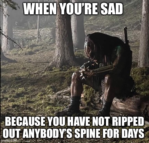 Sad Predator | WHEN YOU’RE SAD; BECAUSE YOU HAVE NOT RIPPED OUT ANYBODY’S SPINE FOR DAYS | image tagged in predator | made w/ Imgflip meme maker