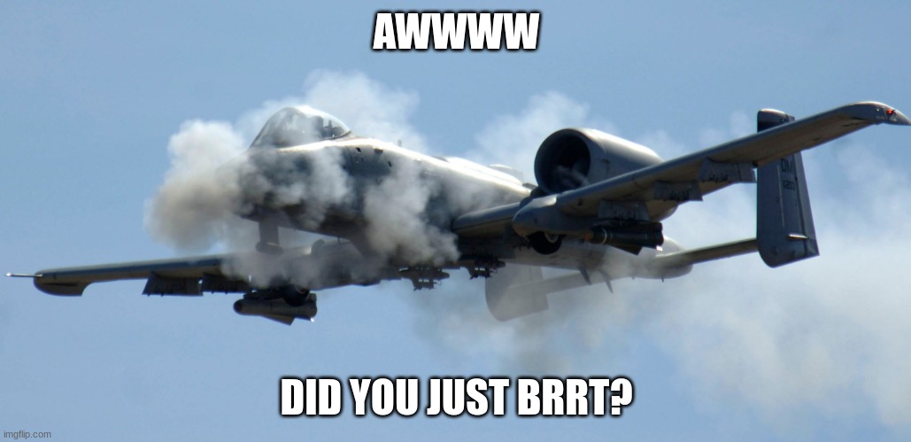 a-10 warthog thunderbolt brrrt | AWWWW; DID YOU JUST BRRT? | image tagged in a-10 warthog thunderbolt brrrt | made w/ Imgflip meme maker