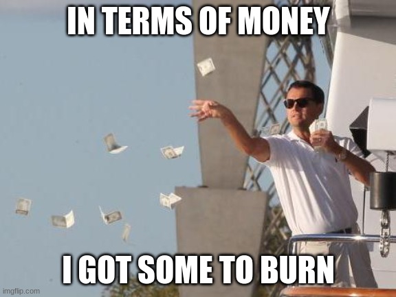 Leonardo DiCaprio throwing Money  | IN TERMS OF MONEY; I GOT SOME TO BURN | image tagged in leonardo dicaprio throwing money | made w/ Imgflip meme maker