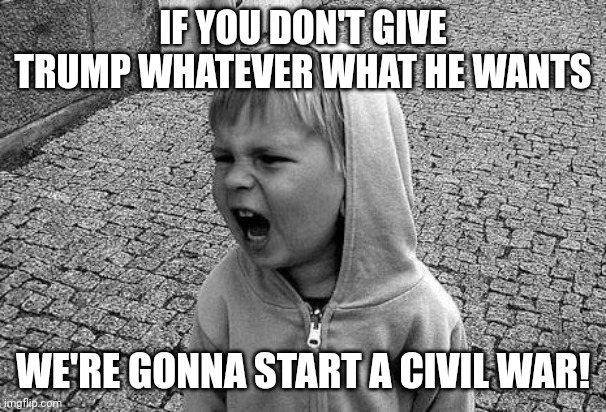 IF YOU DON'T GIVE TRUMP WHATEVER WHAT HE WANTS WE'RE GONNA START A CIVIL WAR! | image tagged in screaming child | made w/ Imgflip meme maker