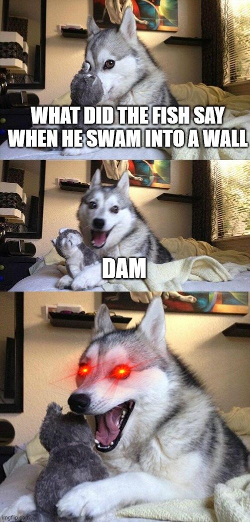 BAHHAHAHHAHAHAHAAHHH |  WHAT DID THE FISH SAY WHEN HE SWAM INTO A WALL; DAM | image tagged in memes,bad pun dog,fishing for upvotes,why are you reading this,why did i make this | made w/ Imgflip meme maker