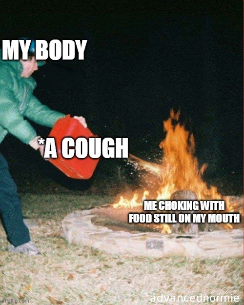 bruh moment | MY BODY; *A COUGH; ME CHOKING WITH FOOD STILL ON MY MOUTH | image tagged in pouring gas on fire,certified bruh moment | made w/ Imgflip meme maker