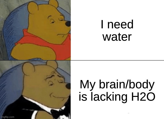 Tuxedo Winnie The Pooh | I need water; My brain/body is lacking H2O | image tagged in memes,tuxedo winnie the pooh | made w/ Imgflip meme maker