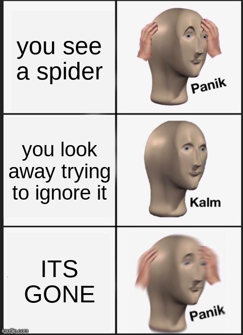 Spider | you see a spider; you look away trying to ignore it; ITS GONE | image tagged in memes,panik kalm panik | made w/ Imgflip meme maker