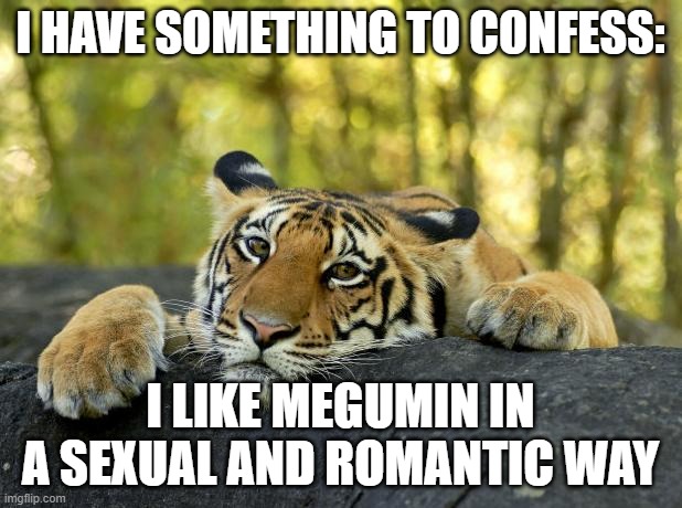 Please understand | I HAVE SOMETHING TO CONFESS:; I LIKE MEGUMIN IN A SEXUAL AND ROMANTIC WAY | image tagged in confession tiger | made w/ Imgflip meme maker