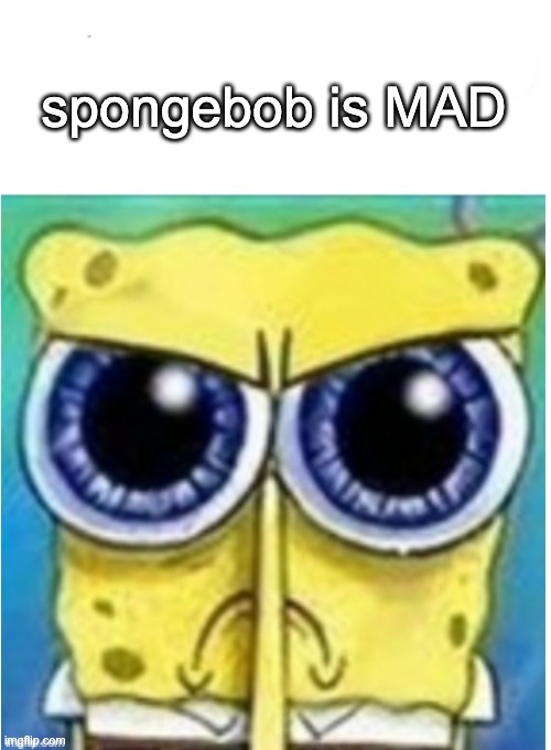 Angry spongebob blank | spongebob is MAD | image tagged in angry spongebob blank | made w/ Imgflip meme maker