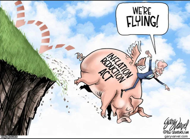 DemocRATS believe this pig will fly... Hundreds of economists say NO | image tagged in stupid liberals | made w/ Imgflip meme maker