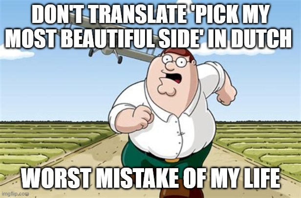 Worst mistake of my life | DON'T TRANSLATE 'PICK MY MOST BEAUTIFUL SIDE' IN DUTCH; WORST MISTAKE OF MY LIFE | image tagged in worst mistake of my life | made w/ Imgflip meme maker