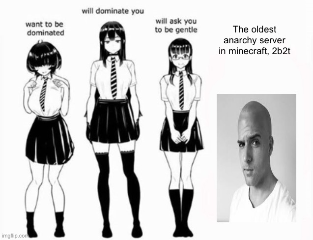 Domination stats | The oldest anarchy server in minecraft, 2b2t | image tagged in domination stats | made w/ Imgflip meme maker