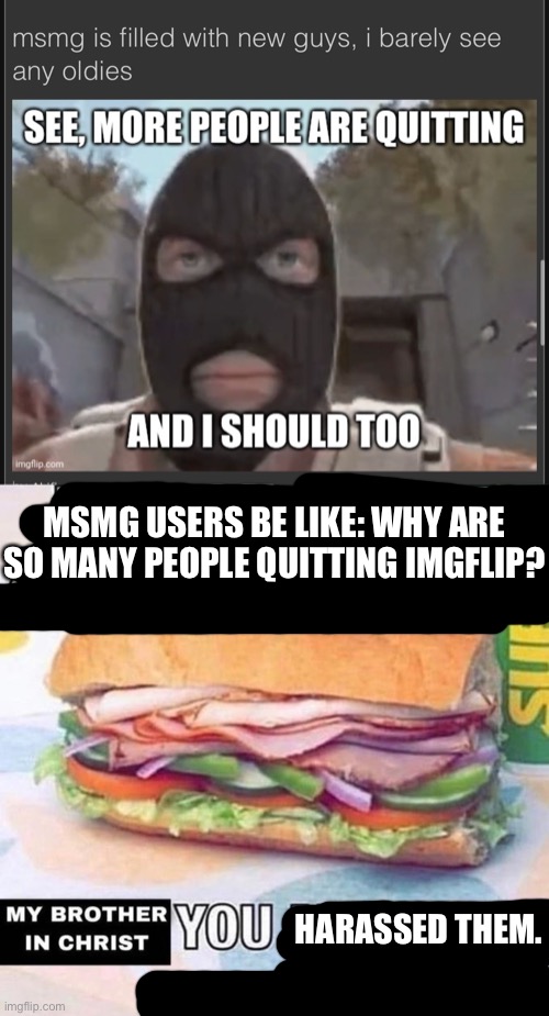 MSMG USERS BE LIKE: WHY ARE SO MANY PEOPLE QUITTING IMGFLIP? HARASSED THEM. | image tagged in brother in christ subway | made w/ Imgflip meme maker