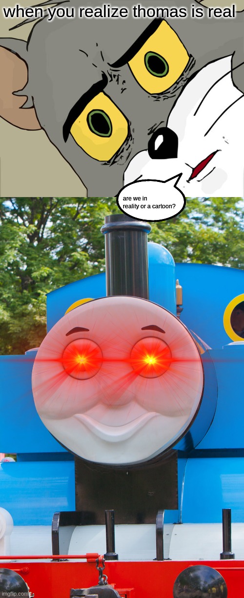 when you realize thomas is real; are we in reality or a cartoon? | image tagged in memes,unsettled tom | made w/ Imgflip meme maker